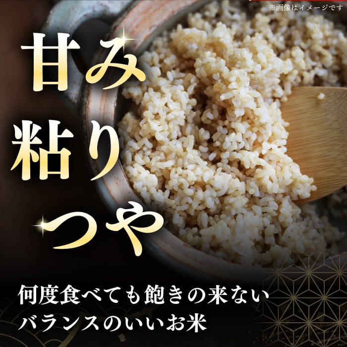 【玄米】【新米 令和7年産】【特A】 一等米 さくら米（ななつぼし）10kg《厚真町》【とまこまい広域農業協同組合】 米 お米 玄米 ご飯 ななつぼし 一等米 特A 北海道 [AXAB035]