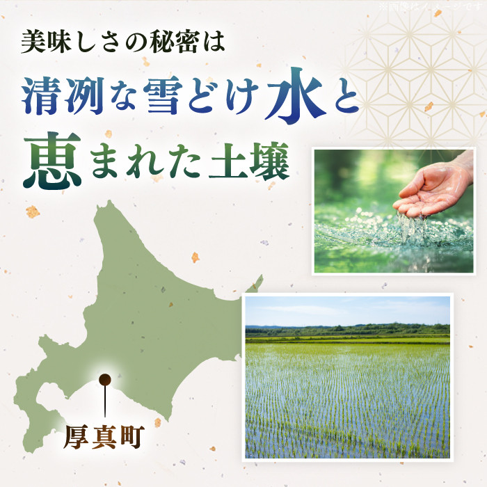 【全2回定期便】【無洗米】【新米 令和7年産】さくら米（ななつぼし）5kg《厚真町》【とまこまい広域農業協同組合】  米 定期便 2カ月 連続 毎月 お米 無洗米 白米 ご飯 ななつぼしブランド米 北海道 [AXAB074]