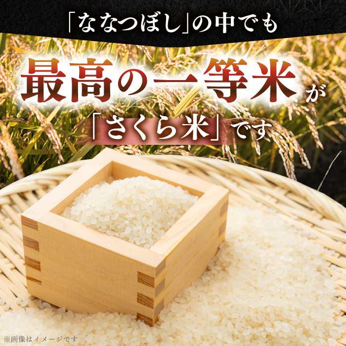 【全2回定期便】【無洗米】【新米 令和7年産】さくら米（ななつぼし）5kg《厚真町》【とまこまい広域農業協同組合】  米 定期便 2カ月 連続 毎月 お米 無洗米 白米 ご飯 ななつぼしブランド米 北海道 [AXAB074]