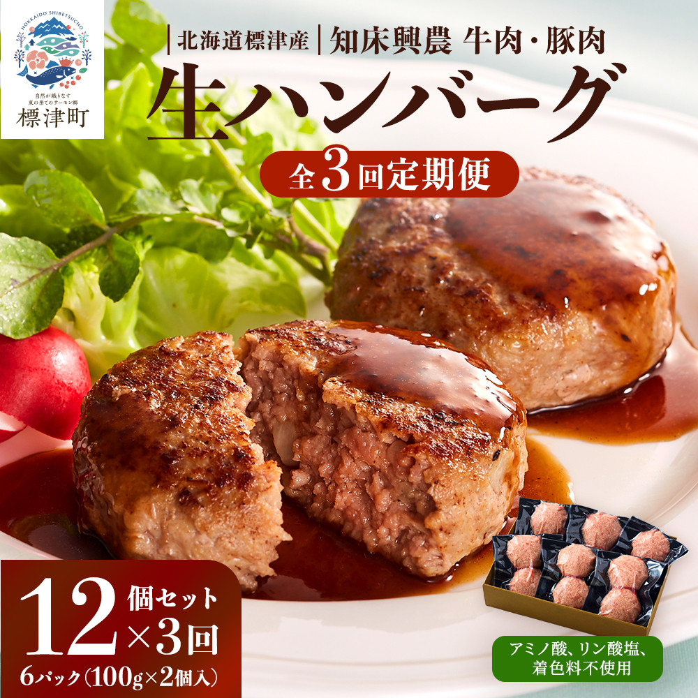 <毎月定期便>生ハンバーグ12個セット 冷凍 国産 牛肉 豚肉 ギフト 小分け 人気 全3回【4006285】