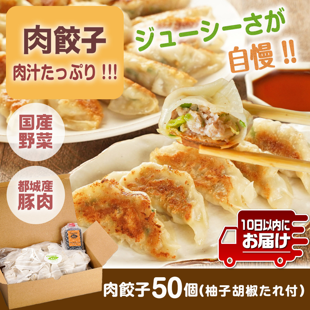 831ハチサンイチの肉餃子50個入り ≪みやこんじょ特急便≫_LF-K602-Q_(都城市) 肉餃子50個 都城産豚使用 柚子胡椒たれ付 大容量