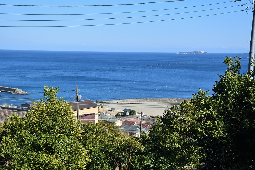 橙マーマレード 300g×6個入 マーマレード ジャム 柑橘 橙 国産 無添加 朝食