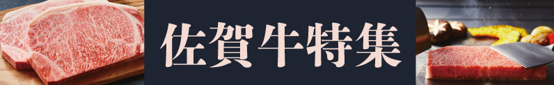 ＜令和7年産＞佐賀県産 さがびより10kg［A0005-0006］