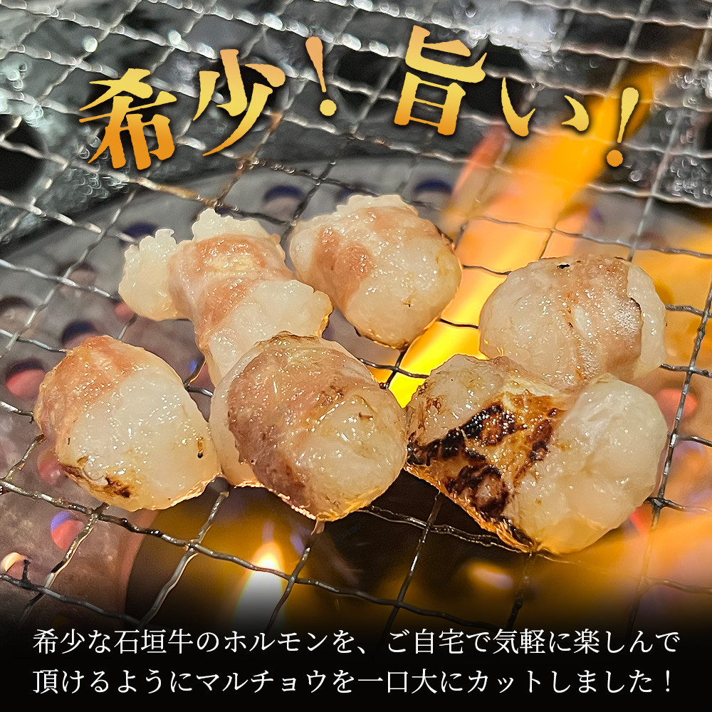 希少な特選石垣牛のホルモンをご家庭で!!マルチョウ300g×2パック【 沖縄 石垣 和牛 石垣牛 希少 特選 肉 ホルモン マルチョウ 冷凍 小分け 】IM-12