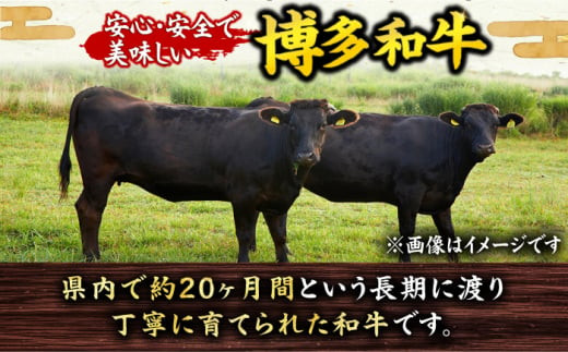 【3回定期便】博多和牛 サーロイン ステーキ 200g×4枚 肉 にく ニク 博多和牛 黒毛和牛 国産 牛肉  ステーキ お歳暮 お中元 贈答用 サーロイン 赤身 父の日 母の日 敬老の日 広川町 / 久田精肉店株式会社 [AFBV014]