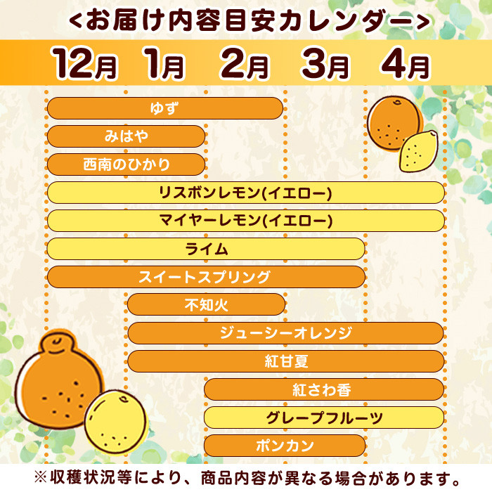 <先行予約受付中!2026年4月発送分!>旬の柑橘詰合せセット (約10kg) 国産 鹿児島県 阿久根市 果実 果物 フルーツ 柑橘 みかん ミカン 旬 詰め合わせ セット【桐野柑橘株式会社】akn070-16-m04