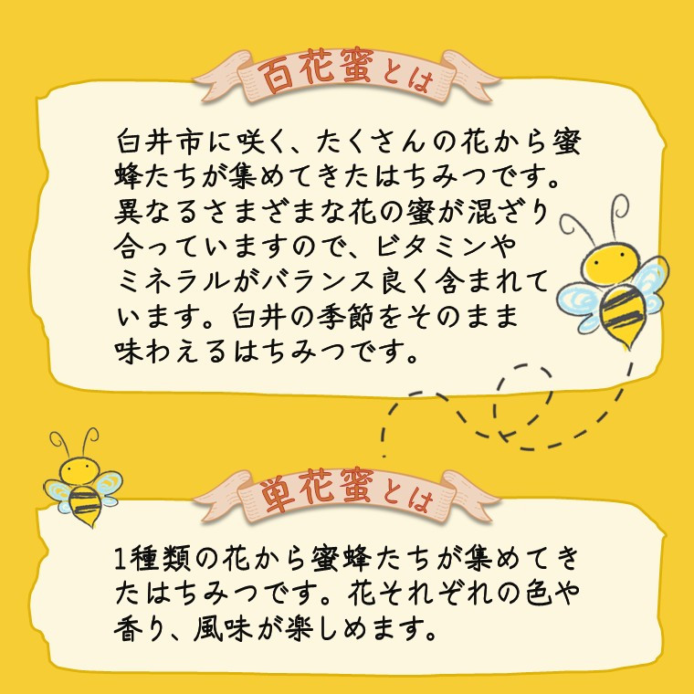 はちみつ 国産 非加熱 ハニービーズコレクション “しろいの季節”のはちみつ 250g 純粋生はちみつ