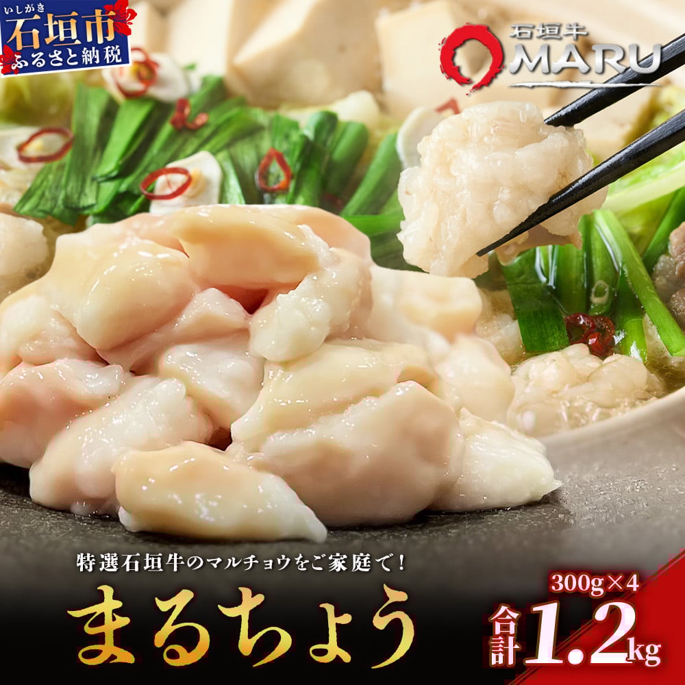 希少な特選石垣牛のホルモンをご家庭で!!マルチョウ300g×4パック【 沖縄 石垣 和牛 石垣牛 希少 特選 肉 ホルモン マルチョウ 冷凍 小分け 】IM-14