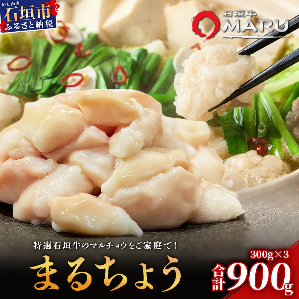 希少な特選石垣牛のホルモンをご家庭で!!マルチョウ300g×3パック【 沖縄 石垣 和牛 石垣牛 希少 特選 肉 ホルモン マルチョウ 冷凍 小分け 】IM-13