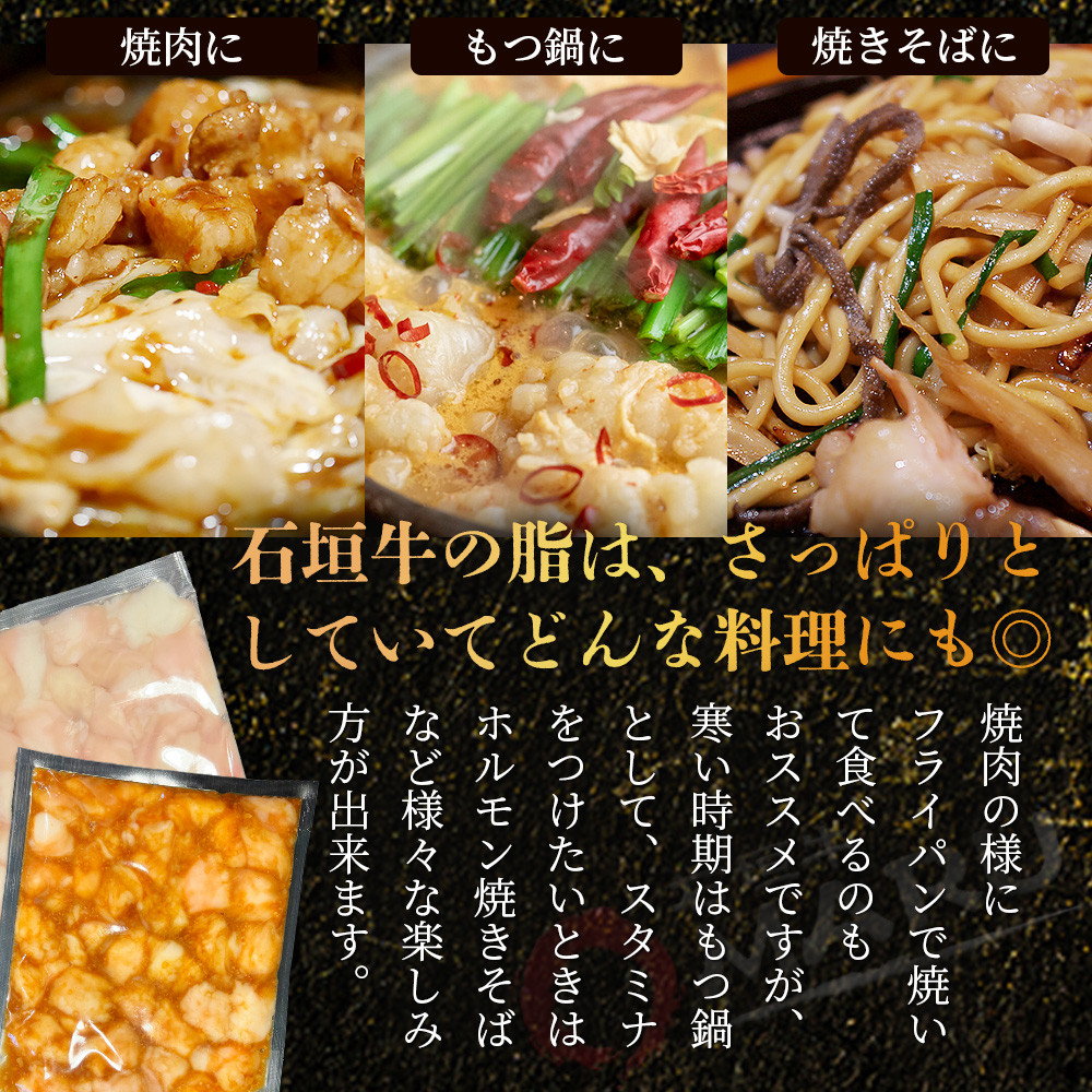 希少な特選石垣牛のホルモンをご家庭で!!マルチョウ300g×2パック 秘伝の味噌味とプレーンの食べ比べセット【 沖縄 石垣 和牛 石垣牛 希少 特選 肉 味噌 みそ 味付 ホルモン マルチョウ 冷凍 小分け 】IM-18