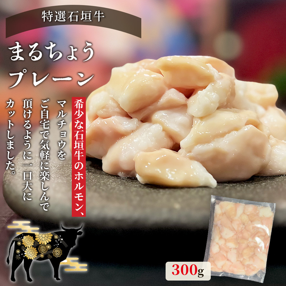 希少な特選石垣牛のホルモンをご家庭で!!マルチョウ300g×4パック 秘伝の味噌味とプレーンの食べ比べセット【 沖縄 石垣 和牛 石垣牛 希少 特選 肉 味噌 みそ 味付 ホルモン マルチョウ 冷凍 小分け 】IM-19