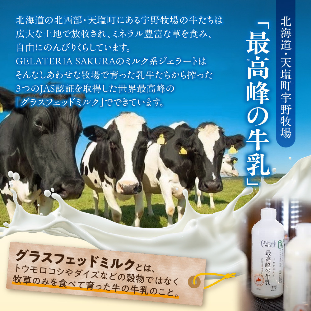 【定期便】幸せな牛のミルクからできたジェラート パティシエおまかせ12個セット×4回