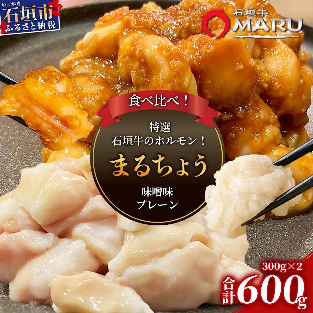希少な特選石垣牛のホルモンをご家庭で!!マルチョウ300g×2パック 秘伝の味噌味とプレーンの食べ比べセット【 沖縄 石垣 和牛 石垣牛 希少 特選 肉 味噌 みそ 味付 ホルモン マルチョウ 冷凍 小分け 】IM-18