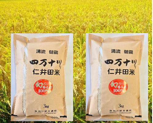 【令和7年産米】 樽井商店の仁井田米「幻の香る米」6kg(3kg×2)Bti-C03 お米 おこめ コメ ブランド米 香る米 ご飯 ギフト プレゼント 贈り物 お歳暮 お中元 御年賀 お取り寄せ