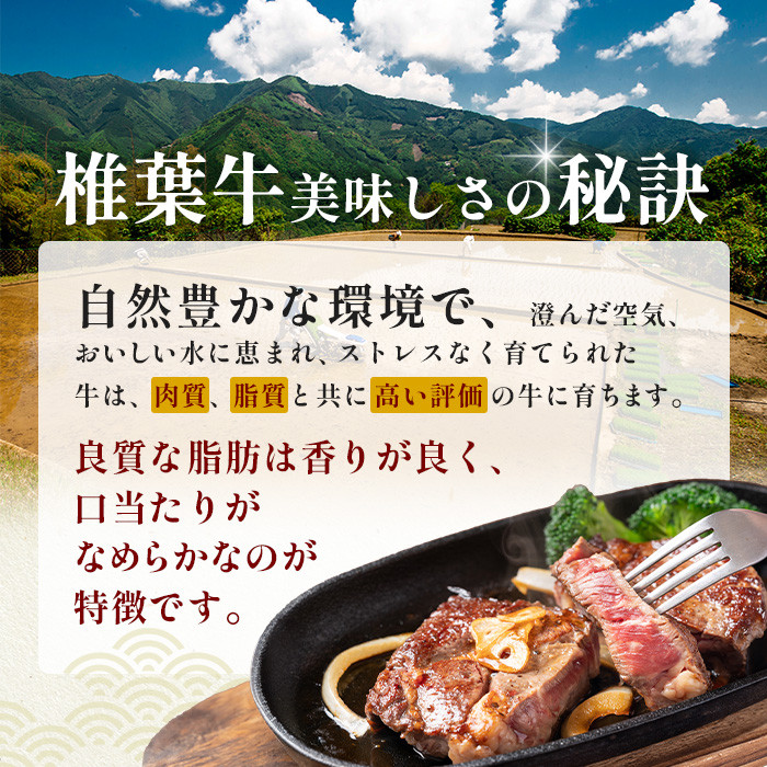 宮崎県産 椎葉プレミアム牛 ももスライス 500g ［宮崎 椎葉 国産 プレミアム牛 国産牛 黒毛和牛 和牛 牛 牛肉 500g 赤身 もも にく おにく 肉 お肉 すきやき すき焼き しゃぶしゃぶ スライス 冷凍 食材 ごちそう 贅沢 お祝い ギフト 贈物 贈答品 特別な日 記念日 お中元 お歳暮 日本三大秘境］【TK-45】