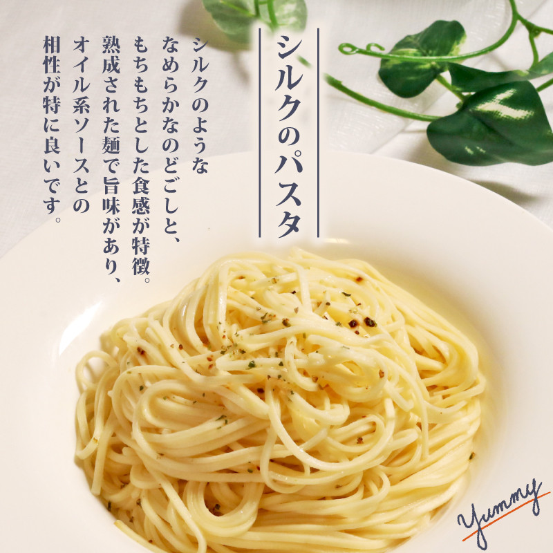 絹入り麺セット ( うどん そば パスタ ) 約12食 計6袋 (各200g×2袋) シルクパウダー シルクの麺 蕎麦 スパゲティ スパゲッティ 麺セット セット 麺 麺類 乾麺セット 乾麺シルク 絹 ふるさと納税うどん ふるさと納税そば ふるさと納税パスタ 人気 おすすめ 京都 丹後 与謝野 加悦