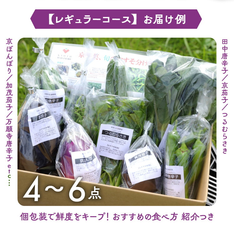 【6月発送】野菜定期便 12回 葉酸たまご付 4~6種類 旬の京野菜 レギュラーコース 詰め合わせ 季節 旬 野菜 やさい 野菜便 国産 国産野菜 新鮮 おまかせ 産地直送 春野菜 夏野菜 秋野菜 冬野菜 葉物 果菜 根菜 カット野菜 京都府産 亀岡市産 京丹波町産 季節の野菜 九条ネギ なす 唐辛子 サラダ トマト 京水菜 壬生菜 聖護院大根 聖護院かぶら 里いも つるむらさき 京都府 亀岡市