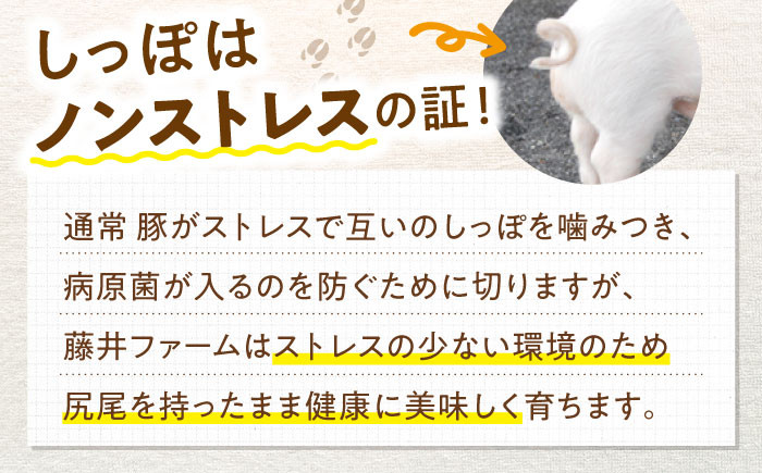 【通常発送】【使いたい分だけ】国産豚肉 あんしん豚 ミンチと小間切れ 合計１．３２キログラム｜便利な小分け バラ凍結 安心安全 岐阜県白川町 藤井ファーム [AWAF006] 