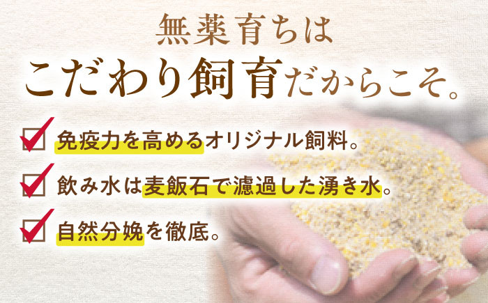 【通常発送】【使いたい分だけ】国産豚肉 あんしん豚 ミンチと小間切れ 合計１．３２キログラム｜便利な小分け バラ凍結 安心安全 岐阜県白川町 藤井ファーム [AWAF006] 