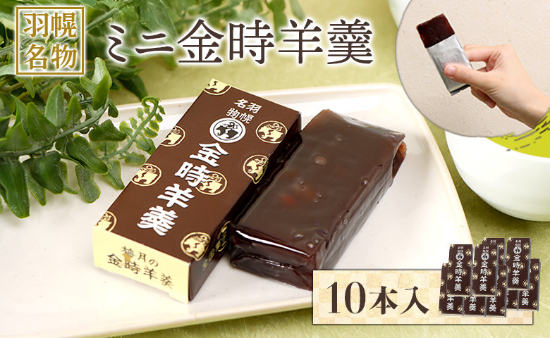 羽幌名物 ミニ金時羊羹10本入 | 金時 羊羹 計10本 老舗 梅月 ようかん 和菓子 全国菓子博覧会 金賞受賞 小豆 あずき スイーツ グルメ ご当地 取り寄せ お土産 北海道 羽幌町 羽幌【1111101】