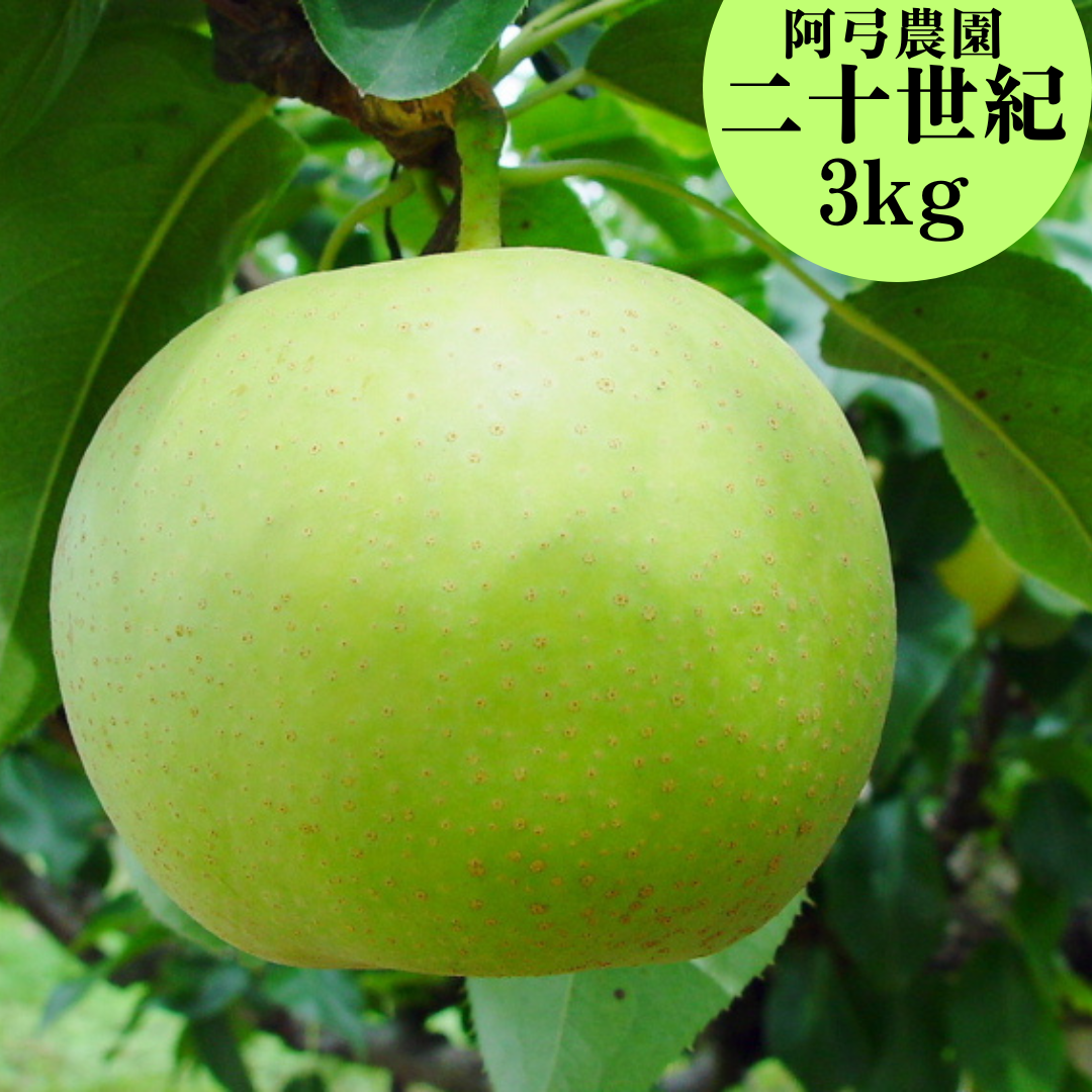 8M.■阿弓農園■二十世紀3kg
