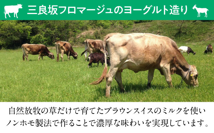ヨーグルト 三良坂フロマージュのヨーグルトセット 3個入 砂糖不使用 プレーン ヨーグルト グラスフェッド 牛乳 ミルク 乳製品 デザート スイーツ お菓子 おやつ 食品 無糖 詰め合わせ 贈答 ギフト 特産品 産地直送 取り寄せ お取り寄せ 美容 健康 朝食 濃厚 みよし 広島 三次市/三良坂フロマージュ [APAV001]