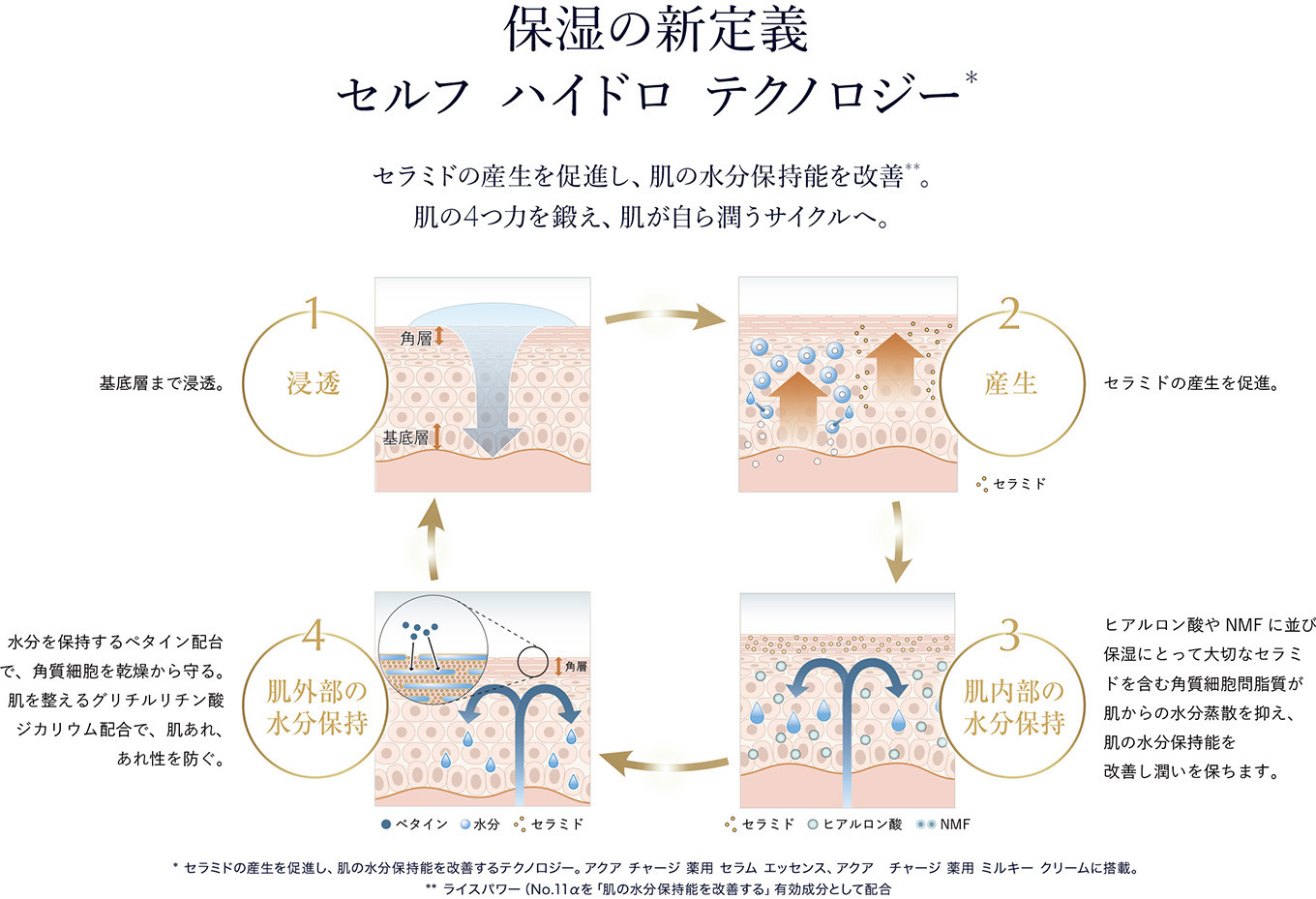 アクア チャージ 薬用 トリートメント ローション 200mL + アクア チャージ 薬用 セラム エッセンス 30mL + アクア チャージ 薬用 ミルキー クリーム 50mL セット 【 エスティローダー アクアチャージ 薬用 Estee Lauder EsteeLauder 公式 正規品 美容液 スキンケア 美容 化粧品 コスメ 】