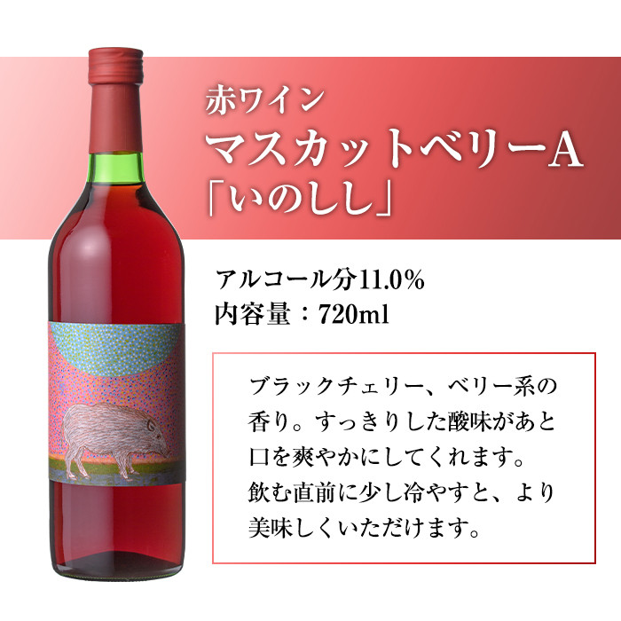 赤ワイン&微発泡マスカットベリーA(合計1.05L・2本)ワイン 赤ワイン 酒 お酒 甘口 甘口ワインアルコール 微発泡 ぶどう 葡萄 安心院産 飲み比べ セット【100801301】【百笑一喜】