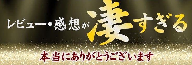 松阪牛 すき焼き 600g セット  ( 牛肉 ブランド牛 和牛 国産牛 松阪牛 すき焼き すき焼き用牛肉 牛肉すき焼き用 霜降り 赤身 すき焼きセット 松阪牛すき焼き 人気 おすすめ ランキング 1位 三重県 松阪市 ) 【3-8】