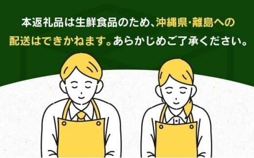 数量限定 完熟マンゴー 3L×2玉 フルーツ 果物 くだもの 国産 期間限定 先行予約 食品 デザート おやつ 人気 おすすめ おすそ分け ご褒美 お祝 お取り寄せ グルメ 産地直送 お土産 ギフト プレゼント 贈り物 贈答品 宮崎県 日南市 送料無料_DD8-23