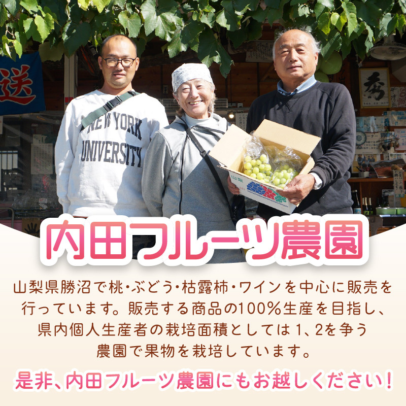 内田フルーツ農園のシャインマスカット 約1.2kg（2～3房）【2026年発送】（UF）B-164 【シャインマスカット 葡萄 ぶどう ブドウ 令和8年発送 期間限定 山梨県産 甲州市 フルーツ 果物】