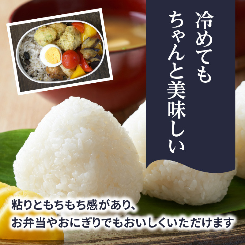 九州・福岡からお届け!ブランド米「元気つくし」定期便 10kg(5㎏×2)【全3回】 お米 米 コメ 白米 特A 直送 お弁当 おにぎり 炊きたて ツヤ 粘り もちもち 弾力 卵かけご飯 福岡県 八女市