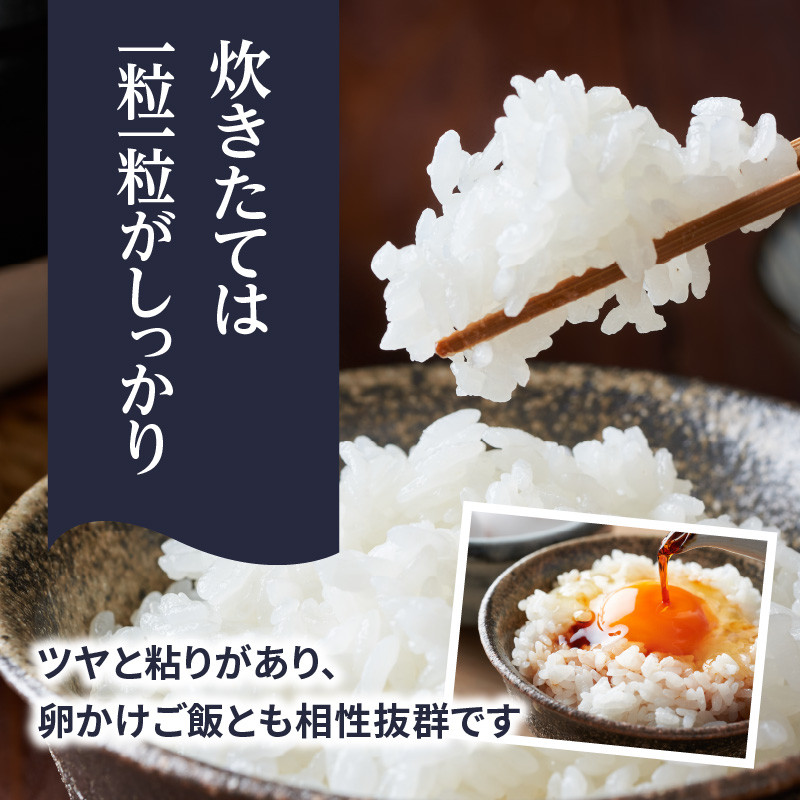 九州・福岡からお届け!ブランド米「元気つくし」定期便 10kg(5㎏×2)【全3回】 お米 米 コメ 白米 特A 直送 お弁当 おにぎり 炊きたて ツヤ 粘り もちもち 弾力 卵かけご飯 福岡県 八女市