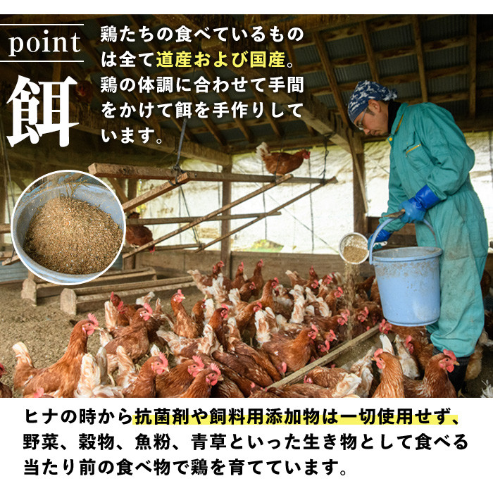 【B7064】キミシフォン・プレーン&茶豆 (17cmホール・各1個) ケーキ シフォンケーキ スイーツ おやつ 卵 豆 【ファームあるむ】