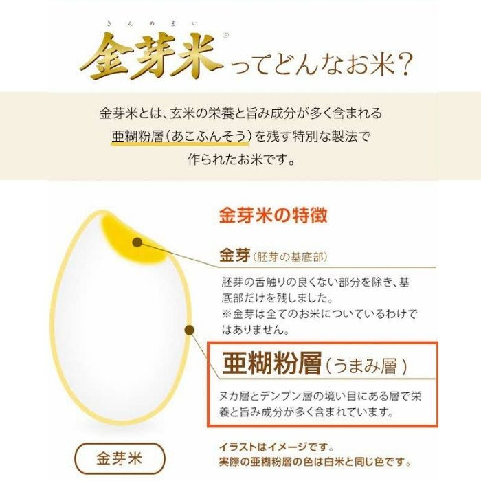 BG無洗米・金芽米きぬむすめ 2kg×3ヵ月 定期便【毎月】計量カップ無し【令和7年産 3ヶ月 計6kg 東洋ライス 健康 島根県 安来市】