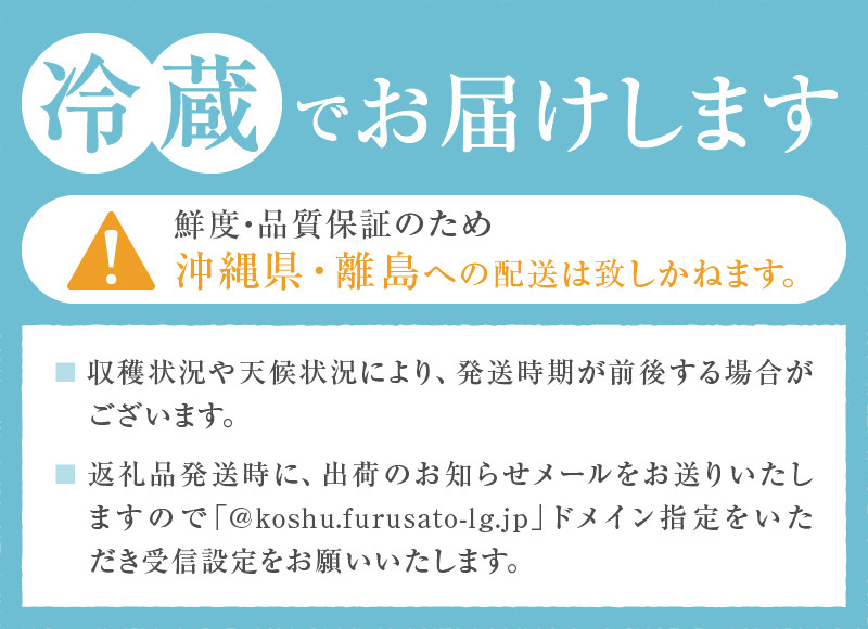 きらっきらの宝石箱 高級品種【紅秀峰】生産者直送【2026年発送】(ISI)B12-157