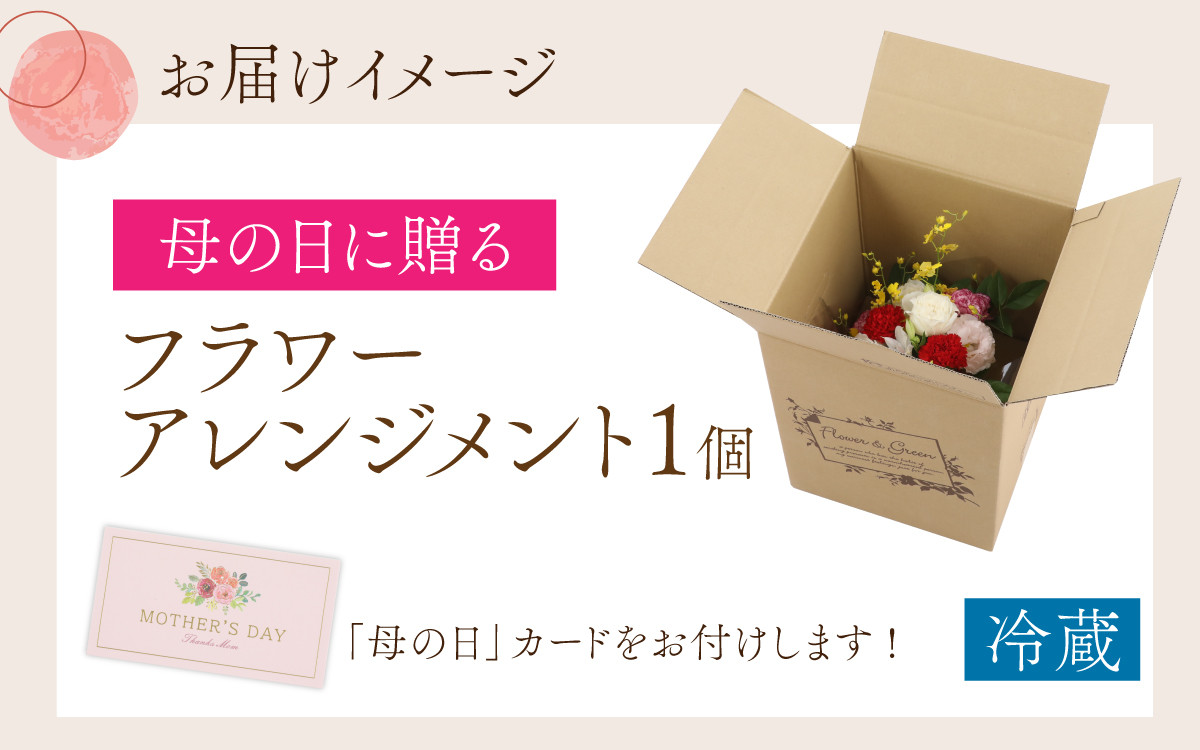 【先行予約】母の日に贈る フレッシュなオリジナルフラワーアレンジメント【５月９、10日でお届け】 / 花 アレンジメント ギフト お誕生日 植物 季節 生花 アレンジ プレゼント 贈答 贈り物 祝い インテリア 母の日 カーネーション 2026 ギフト [A-159005]