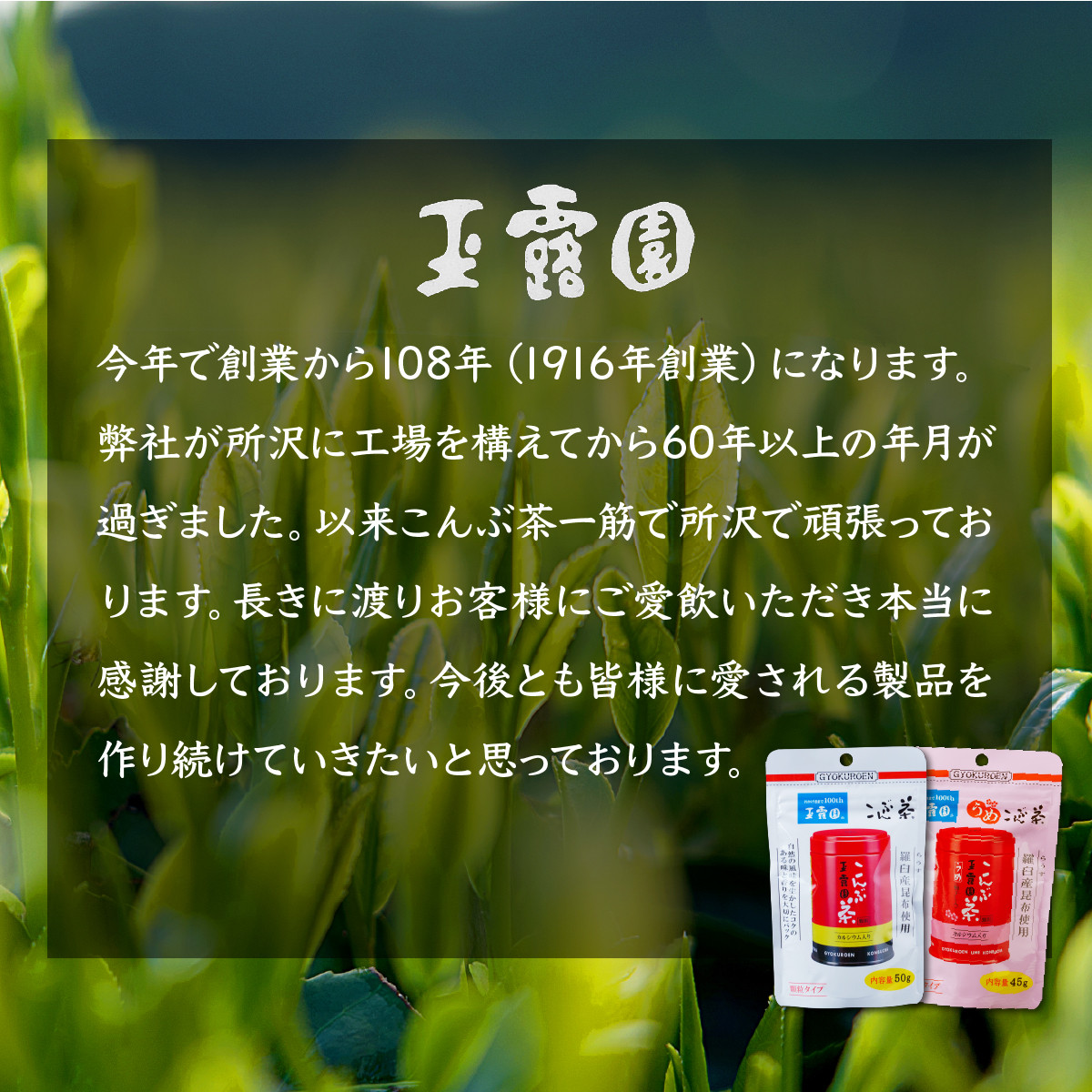 こんぶ茶 玉露園 50g×5袋 | 茶 お茶 昆布茶 羅臼産 こぶ茶 昆布 こんぶ プレゼント 贈答 ギフト お土産 正月 香り 風味 まろやか おいしい おすすめ 埼玉県 所沢市