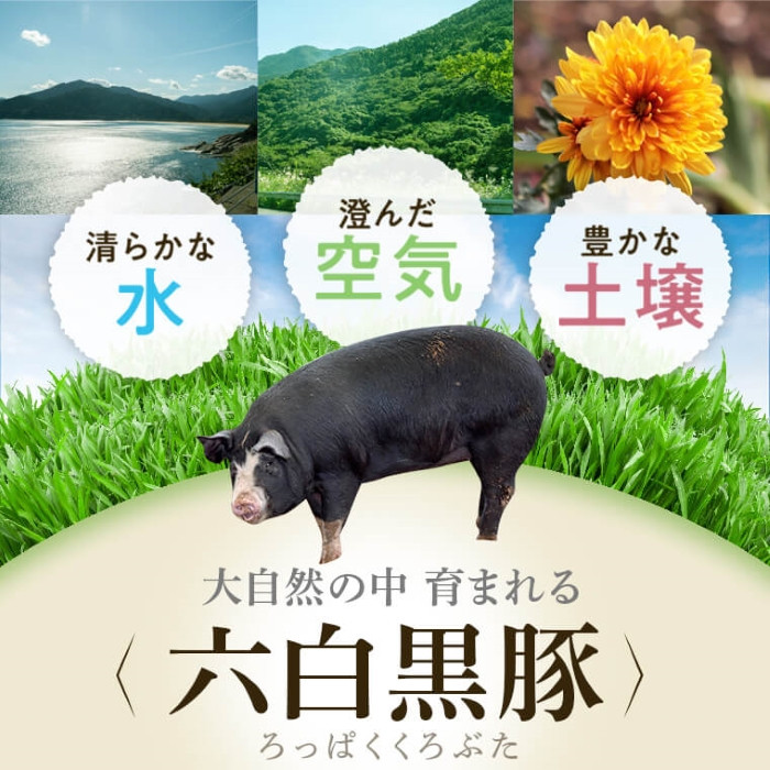 A02046 黒豚餃子セット(12個入×10パック)鹿児島 国産 九州産 黒豚 黒ぶた 豚肉 冷凍 餃子 ギョーザ ぎょうざ おかず 惣菜【和田養豚】