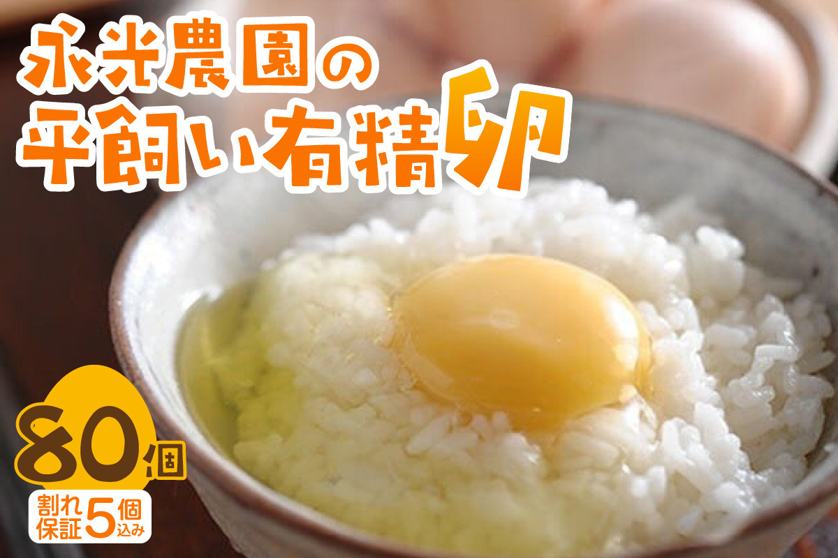 永光農園の平飼い有精卵 75個+割れ保証5個