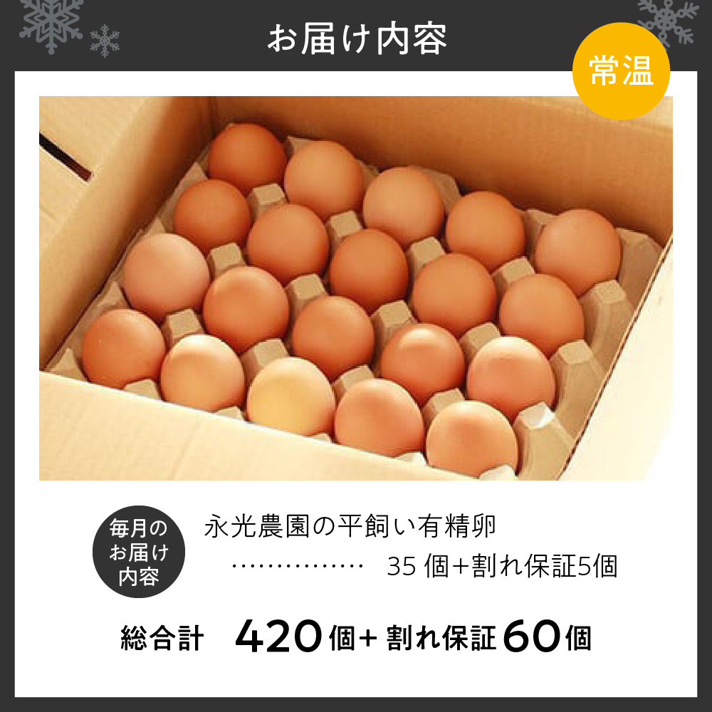 【12か月定期便】永光農園の平飼い有精卵 35個+割れ保証5個