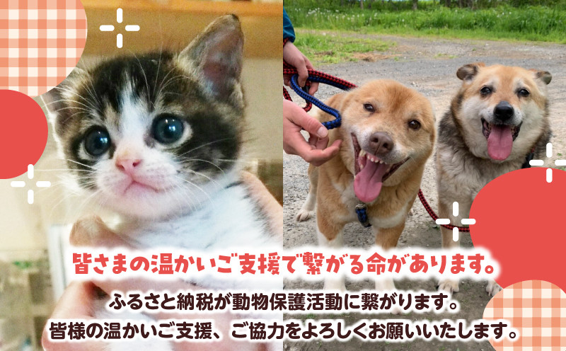 【動物愛護ボランティア】浜中町「ポラリス☆はまなか」を支援 5000円分 返礼品なし_H0048-005