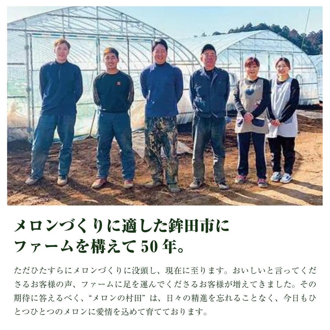 【 アールス メロン 】\ 生産量 日本一 !/ アールスメロン( 2玉 入り1箱)計4kg~4.5kg メロンの村田 選べる玉数 先行予約 青肉 追熟 産地直送 メロン めろん おすすめ 人気 大きい 定番 ギフト プレゼント 贈り物 国産 フルーツ 果物 茨城 鉾田