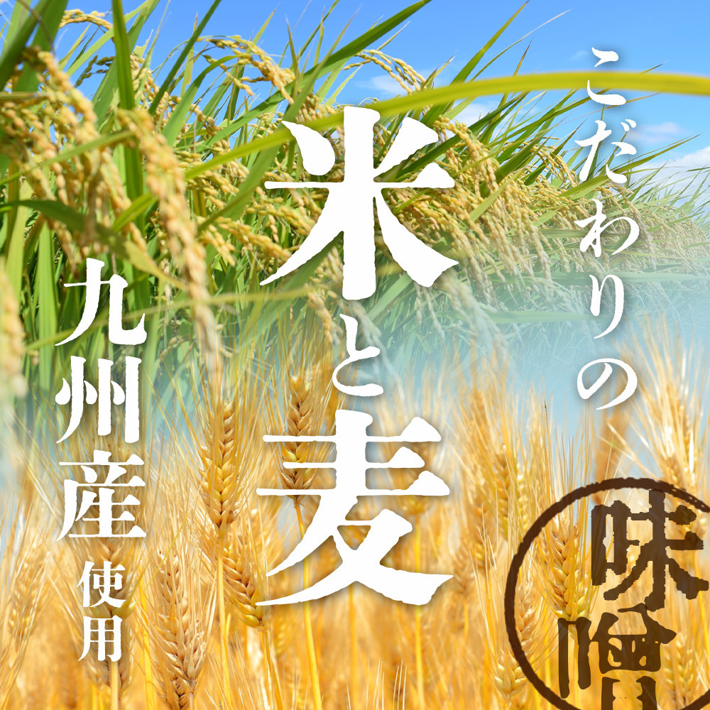 B-247 【２０セット限定】 地元麹屋さん手作りの味噌セット（８５０ｇ×６セット）