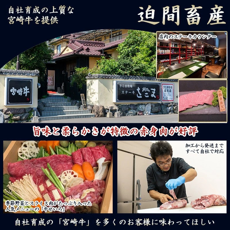 宮崎牛100％使用の生ハンバーグ≪100g×3個≫_AA-7702_(都城市) 都城産宮崎牛 オリジナル手作り生ハンバーグ 手作業 自慢 お店の味 デミグラスソース 