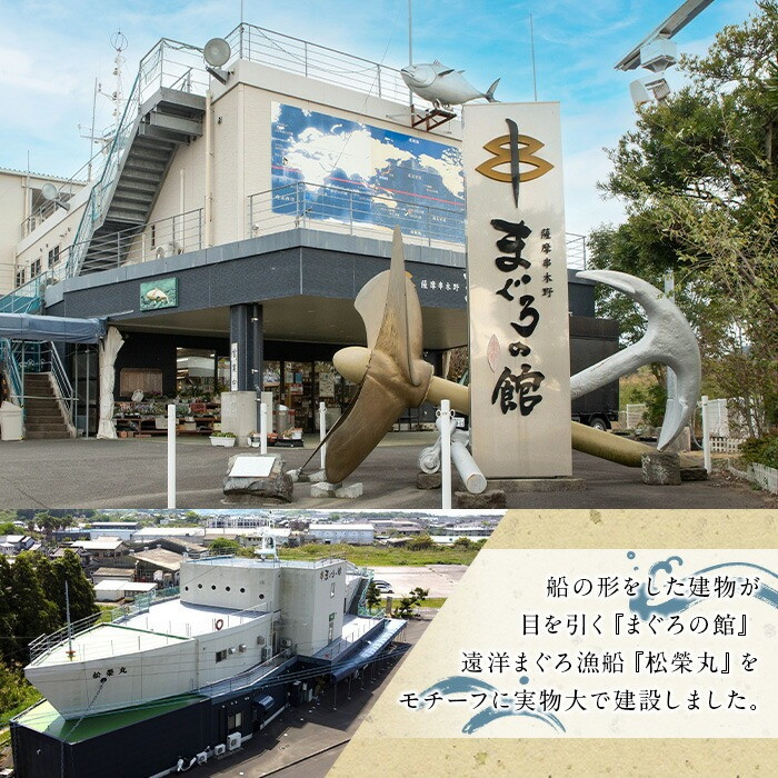 自宅で簡単!漁師に伝わる まぐろ漬け丼の素(ごま風味) 100g×8パック 冷凍 小分けでお届け!流水解凍してすぐに食べられます。本格的 まぐろ 漬け丼【A-1768H】