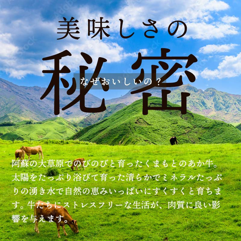 FKP9-471 【数量限定】 【GI認証】 くまもとあか牛ロースステーキ(500g)