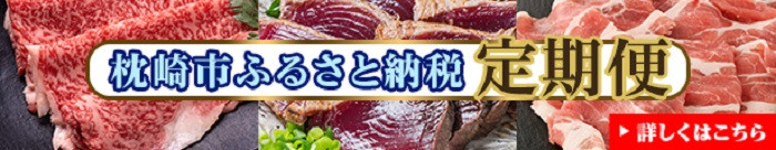 定期便(6回)鹿児島県産A5等級黒毛和牛シャトーブリアン・サーロインステーキetc HH-6001_黒毛和牛 和牛 牛肉 シャトーブリアン サーロイン A5 鹿児島県 定期便 美味しい 人気 送料無料【1166783】