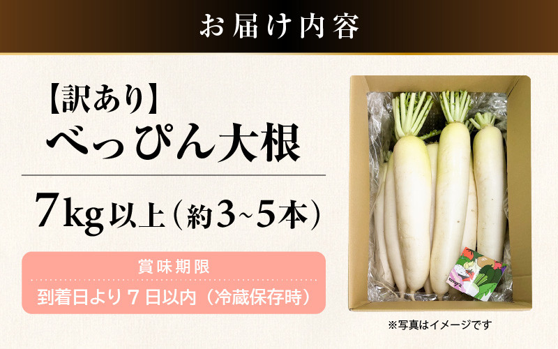 【先行予約】【訳あり】数量・期間限定 朝採り新鮮 べっぴん大根 7kg以上 【2025年12月順次発送】産地直送【福井県産  冬野菜 なべ料理 惣菜 野菜 だいこん ダイコン 便利野菜 サラダ 漬物  露地栽培 送料無料 】 [e35-a043]