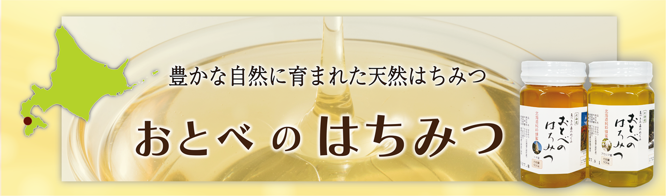 ＜定期便 Gaivota2箱(2L×12本)×6回＞北のハイグレード食品 天然シリカ水 ミネラルウォーター 軟水 北海道産 北海道 乙部町 天然水 美容 ケイ素 無添加 シリカ ガイヴォータ 美肌 ミネラル 口当たり まろやか 備蓄 災害用 非常用 リピーター 6か月 備蓄 災害用 非常用